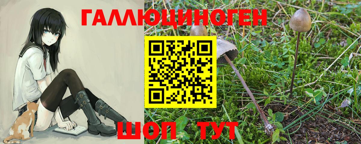 Великий Устюг  Галлюциногенные грибы Cubensis  Вход с VPN 