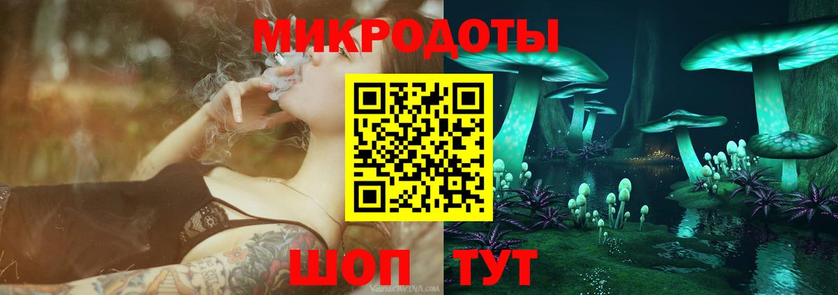 Псилоцибиновые грибы прущие грибы Великий Устюг
